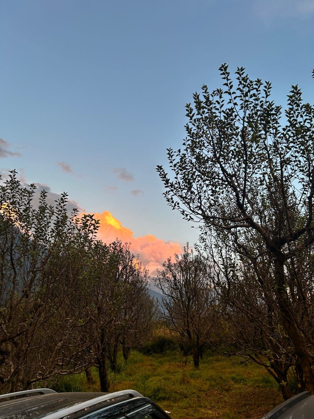 evening