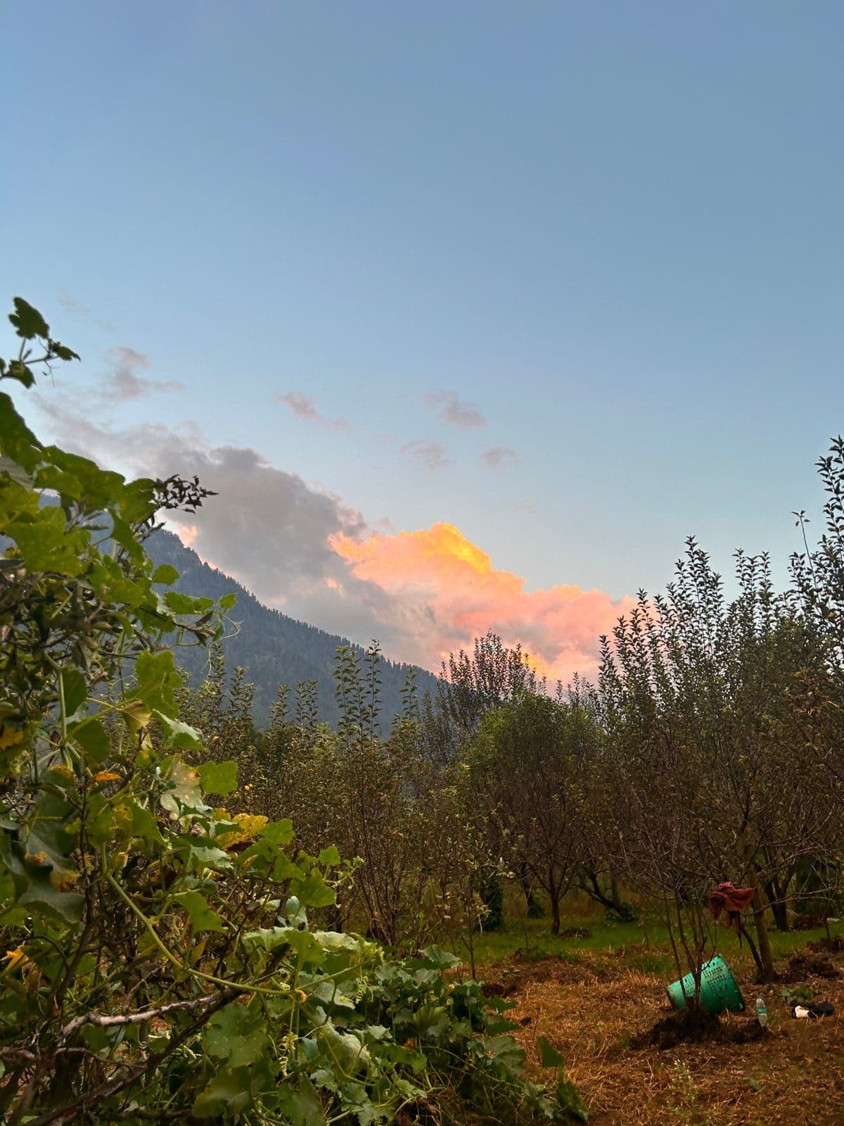 evening-2