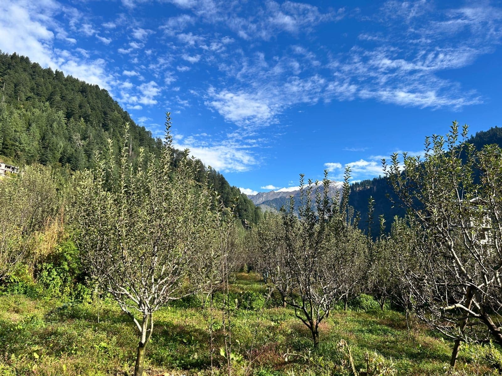 IMG_5217