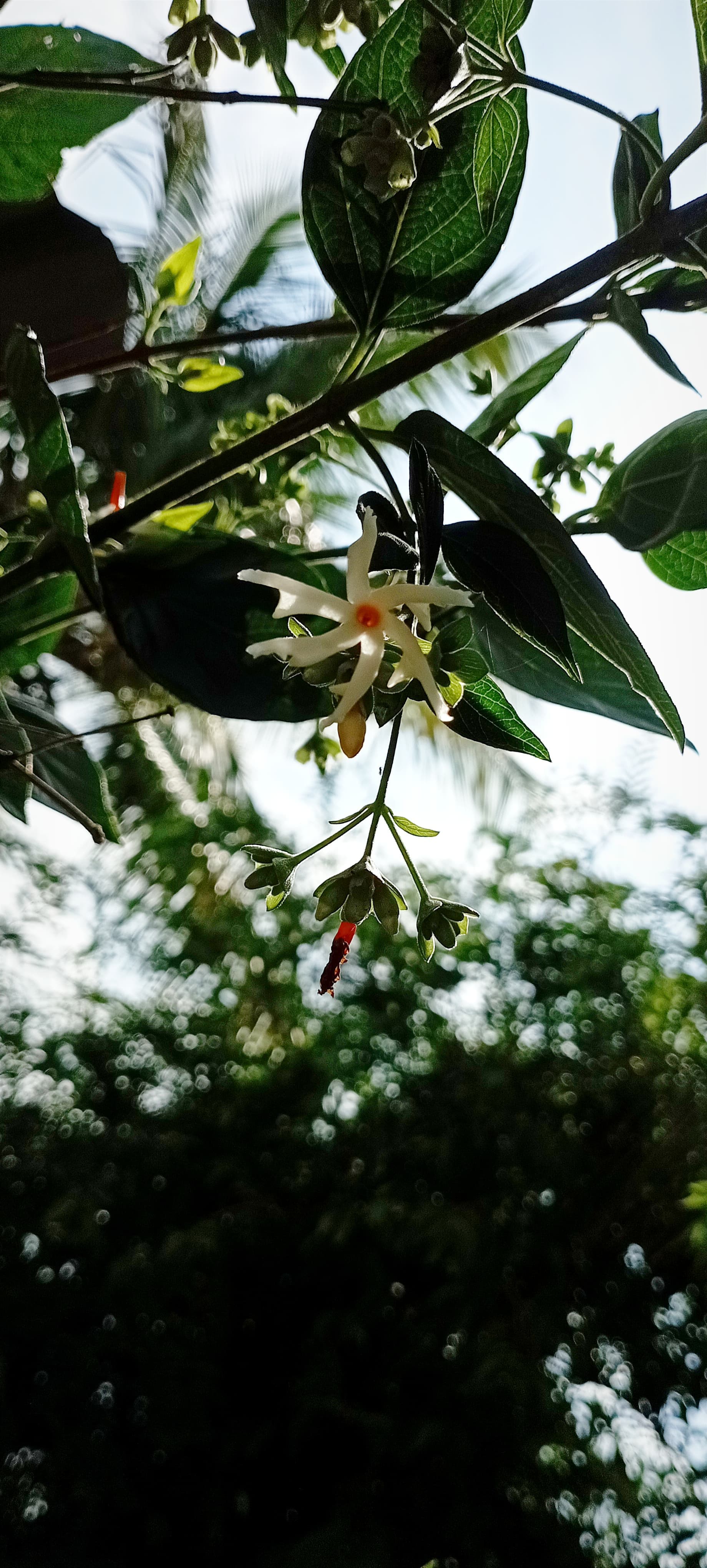 tera hua is bhid mai ...is bhid mai ! hai teri meherbaniii !!!